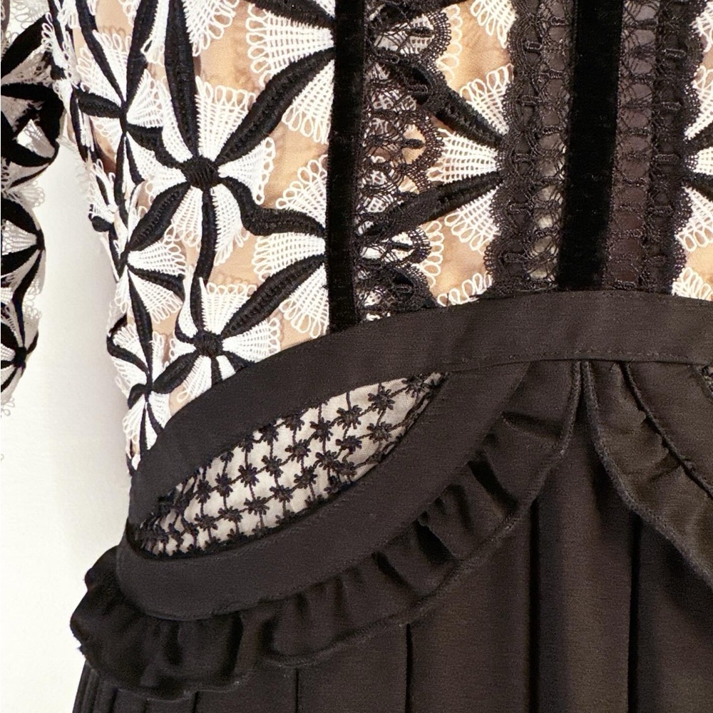 Self-Portrait Black & White Lace Pleated Maxi Dress - Picture 7 of 14